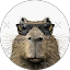C Bei Avatar