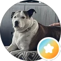 Jo Jobean Avatar